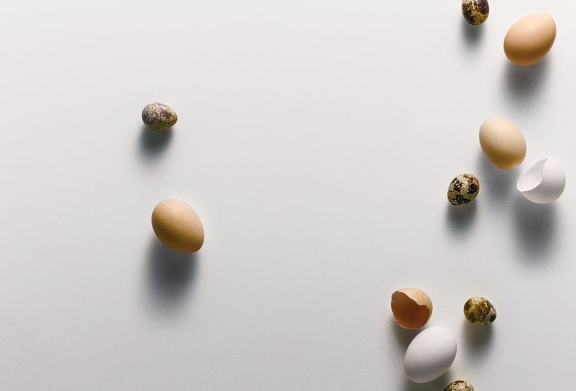 White quartz countertop with egg shells 